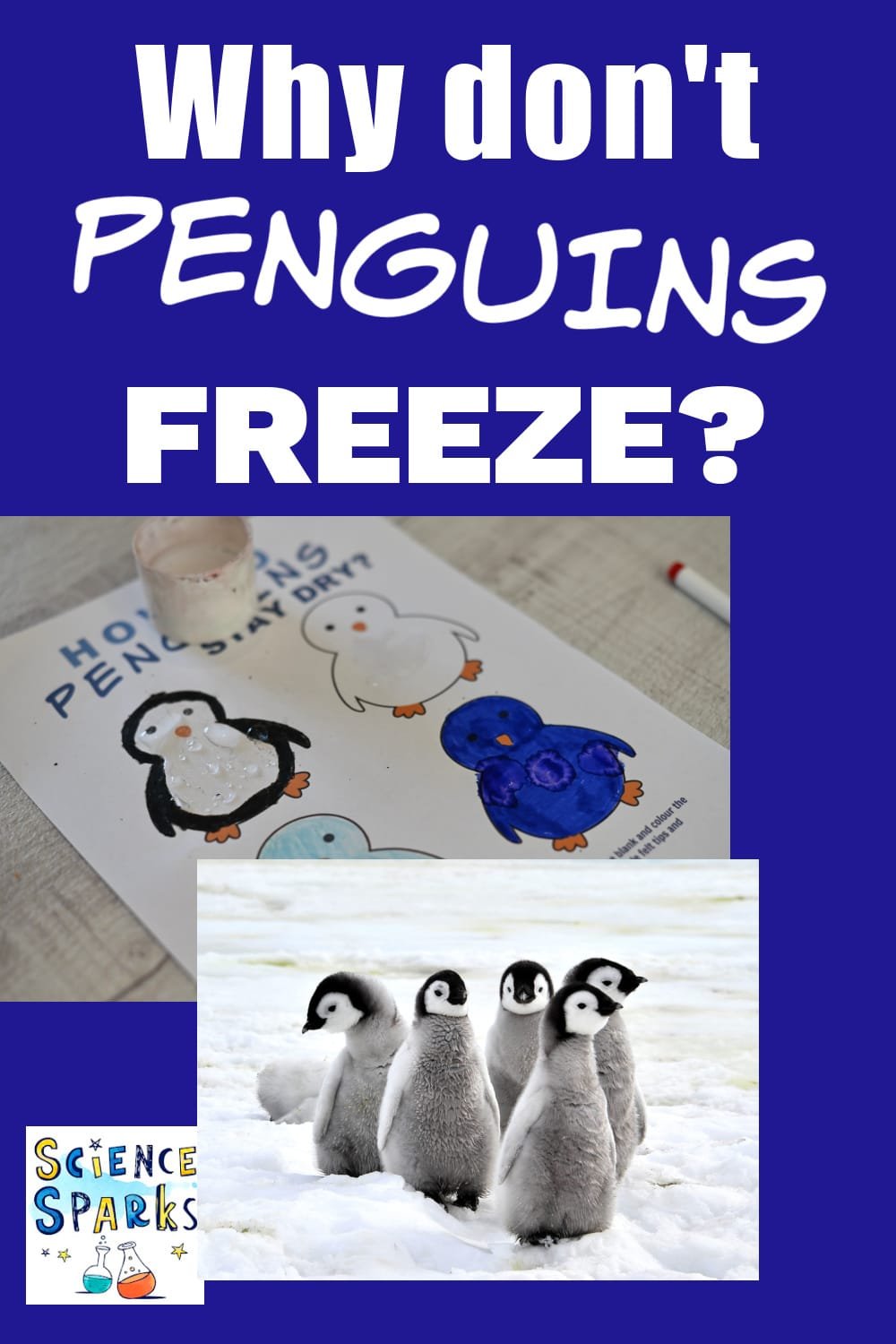 Why Don't Penguin Felt Freeze?