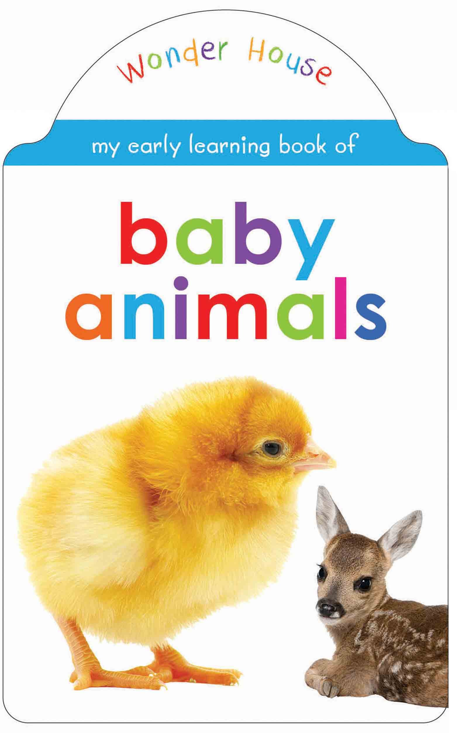 Baby Animals